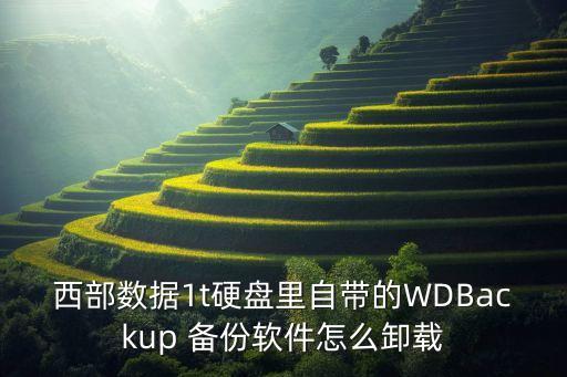 西部數(shù)據(jù)1t硬盤里自帶的WDBackup 備份軟件怎么卸載