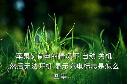  蘋果6 有電的情況下 自動 關(guān)機,然后無法開機 顯示充電標志是怎么回事...