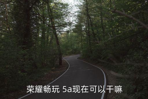  榮耀暢玩 5a現(xiàn)在可以干嘛
