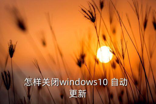 怎樣關(guān)閉windows10 自動 更新