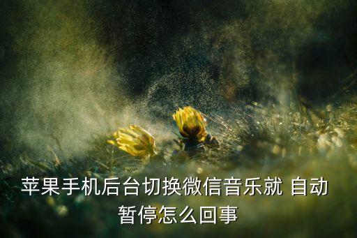 蘋果手機后臺切換微信音樂就 自動 暫停怎么回事