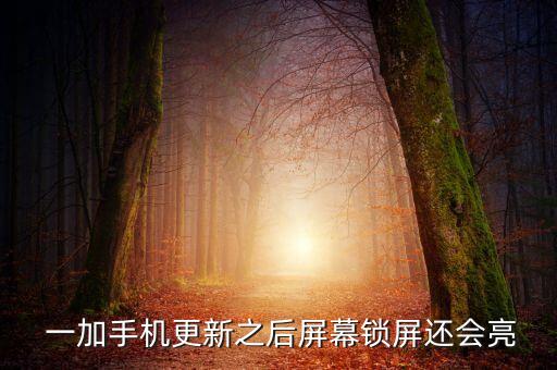 一加手機(jī)更新之后屏幕鎖屏還會(huì)亮