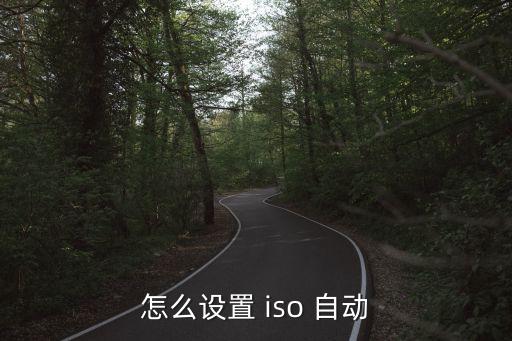 怎么設(shè)置 iso 自動