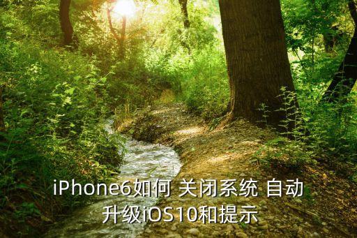 ios10怎么關(guān)閉自動(dòng)升級(jí),如何進(jìn)入ios10設(shè)置?