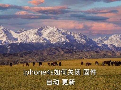 iphone4s如何關(guān)閉 固件 自動 更新