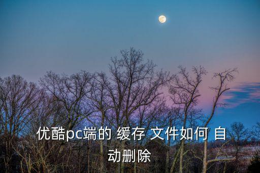 優(yōu)酷更新自動緩存文件,手機優(yōu)酷-1怎么看?看這里!