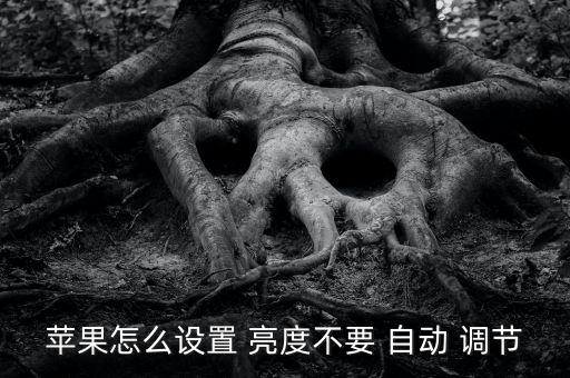 蘋果怎么設(shè)置 亮度不要 自動 調(diào)節(jié)