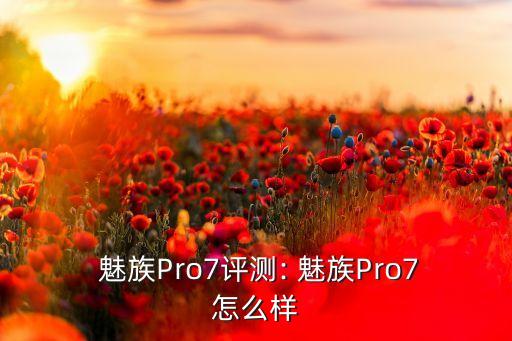  魅族Pro7評(píng)測: 魅族Pro7怎么樣