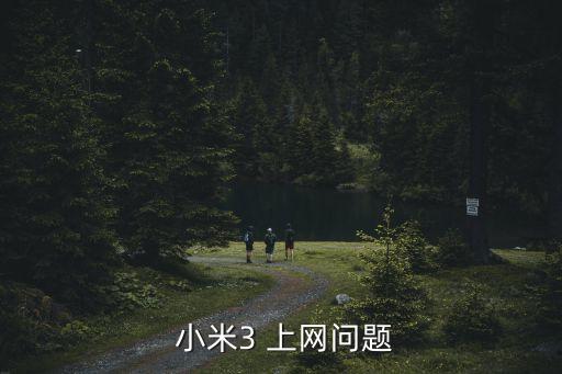  小米3 上網(wǎng)問題