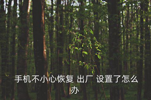  手機不小心恢復(fù) 出廠 設(shè)置了怎么辦