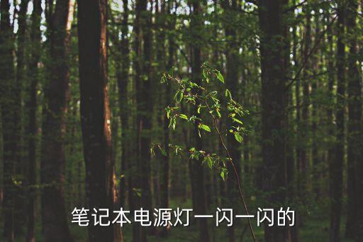  筆記本電源燈一閃一閃的