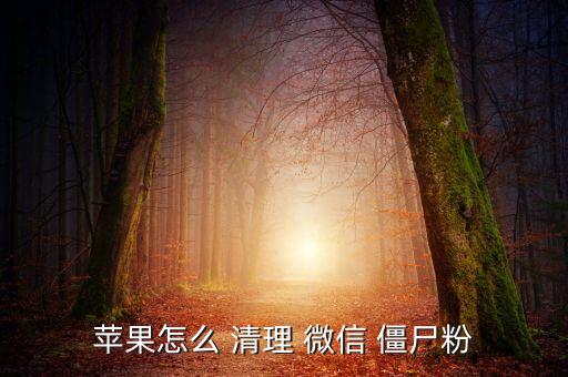 蘋果怎么 清理 微信 僵尸粉