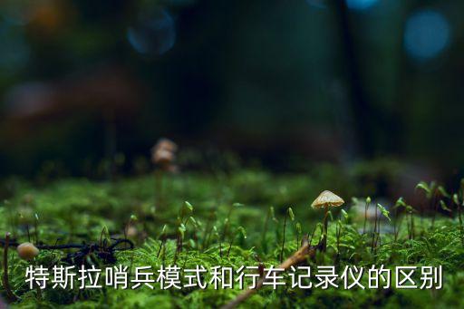  特斯拉哨兵模式和行車記錄儀的區(qū)別