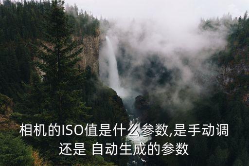 什么是自動iso,數(shù)碼相機(jī)噪點(diǎn)太強(qiáng)iso設(shè)為on即可調(diào)整