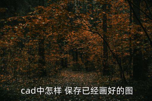  cad中怎樣 保存已經(jīng)畫好的圖