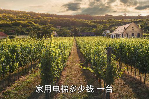 家用電梯多少錢 一臺