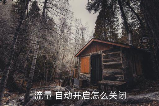  流量 自動(dòng)開啟怎么關(guān)閉