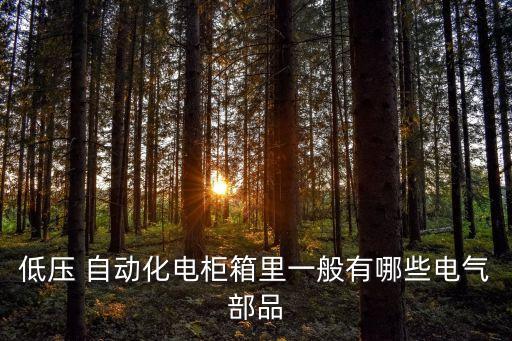 自動(dòng)化的家電都有什么,本書包括電氣智能概念及相關(guān)理論