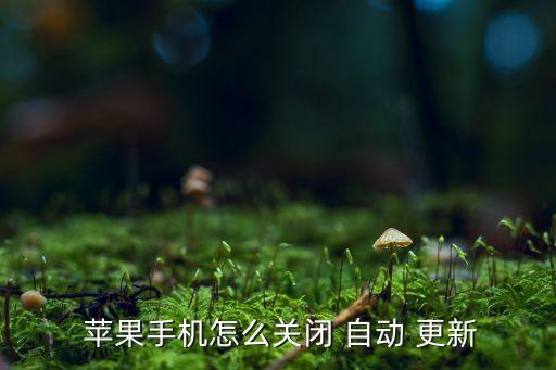  蘋果手機(jī)怎么關(guān)閉 自動(dòng) 更新