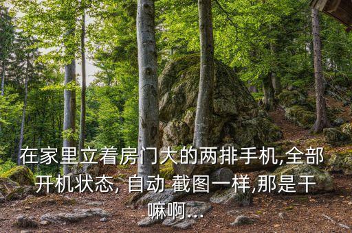 開機(jī)自動截圖,手機(jī)放褲兜里容易沾灰塵phmeone怎么辦?