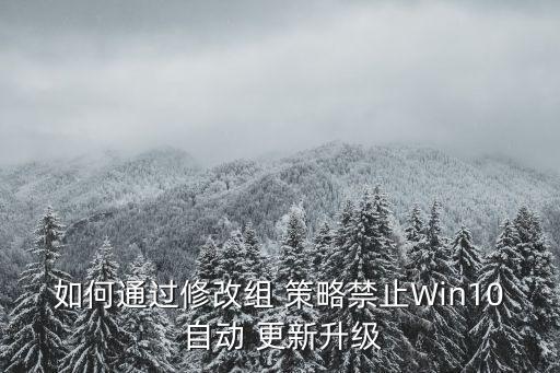 如何通過(guò)修改組 策略禁止Win10 自動(dòng) 更新升級(jí)