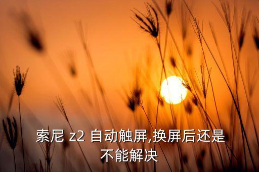 索尼z2屏幕自動旋轉,z2剛上市電池倉旁邊有個小金屬塊