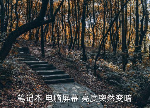 筆記本 電腦屏幕 亮度突然變暗