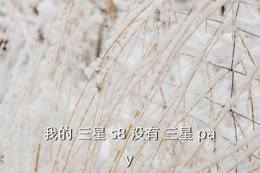 我的 三星 s8 沒有 三星 pay