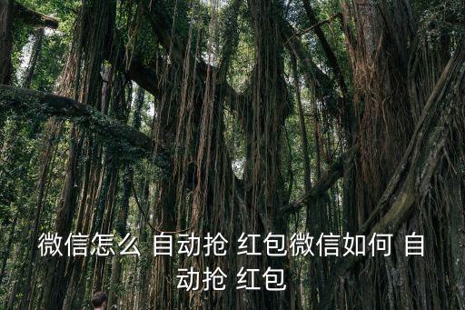 威信自動強(qiáng)紅包,三步驟!微信輸入rob紅包逐步設(shè)置