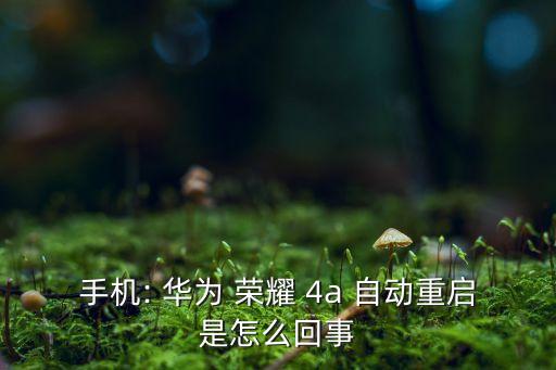 手機(jī): 華為 榮耀 4a 自動(dòng)重啟是怎么回事