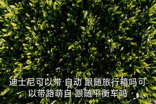迪士尼可以帶 自動(dòng) 跟隨旅行箱嗎可以帶路萌自 跟隨平衡車(chē)嗎