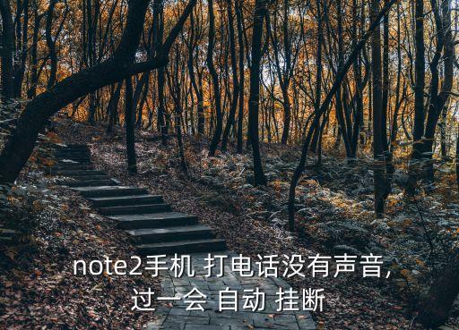  note2手機 打電話沒有聲音,過一會 自動 掛斷