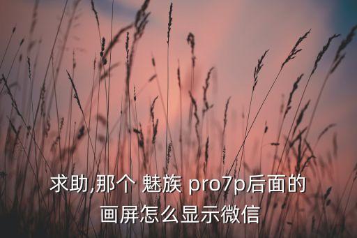 求助,那個(gè) 魅族 pro7p后面的 畫屏怎么顯示微信