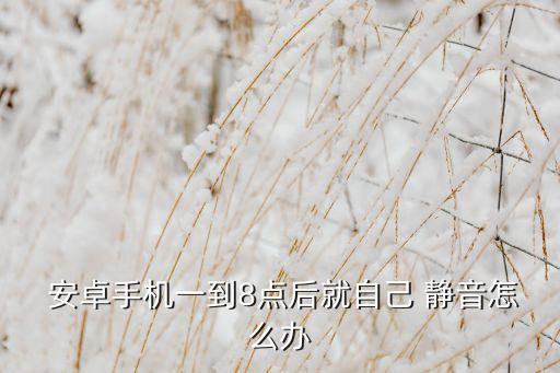  安卓手機一到8點后就自己 靜音怎么辦