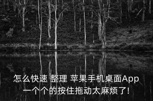 蘋果圖標(biāo)自動整理軟件,蘋果桌面有快整理桌面圖標(biāo)整理軟件