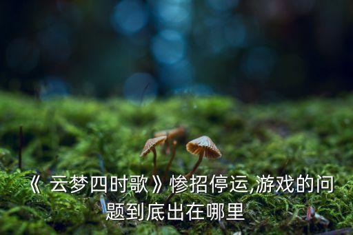 《 云夢四時歌》慘招停運,游戲的問題到底出在哪里