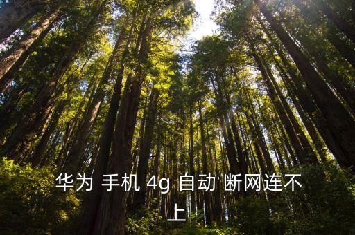  華為 手機 4g 自動 斷網(wǎng)連不上