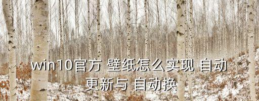 win10官方 壁紙?jiān)趺磳?shí)現(xiàn) 自動(dòng) 更新與 自動(dòng)換
