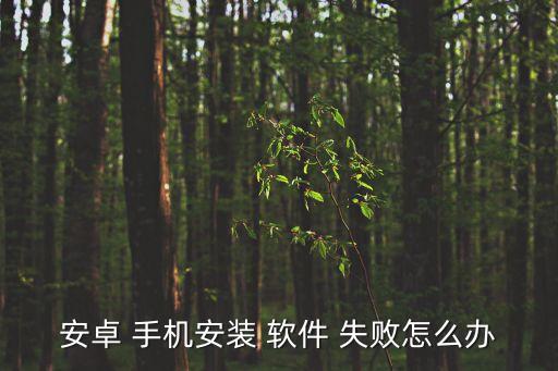 安卓 手機(jī)安裝 軟件 失敗怎么辦