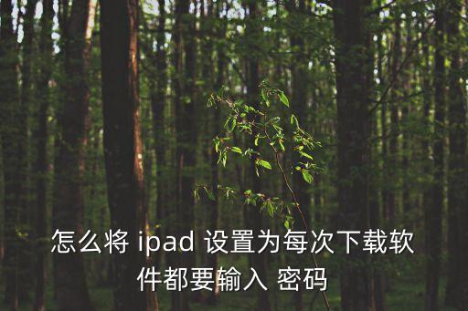 怎么將 ipad 設置為每次下載軟件都要輸入 密碼