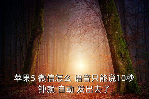 微信語(yǔ)音10秒自動(dòng)發(fā)出去,用微信錄音需要注意什么?