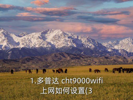 1.多普達 cht9000wifi上網(wǎng)如何設(shè)置(3
