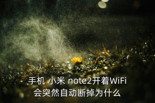 手機 小米 note2開著WiFi會突然自動斷掉為什么