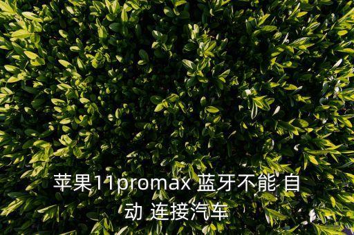 蘋果11promax 藍(lán)牙不能 自動 連接汽車