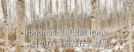 鏈接itunes自動備份,最新版本itunes怎么用?