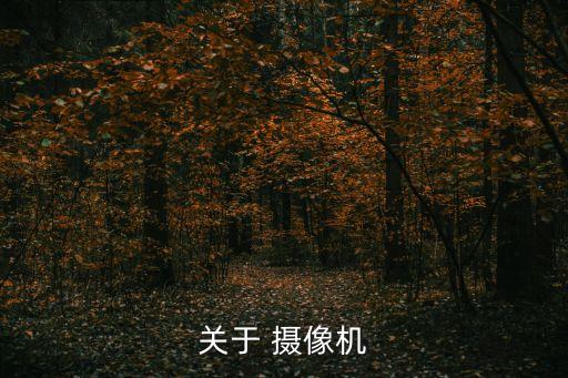 索尼小攝像機(jī) 自動(dòng)抓拍,關(guān)于攝像機(jī)你必須知道的事兒