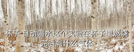 自動集水水杯,呼吸機管道未整理支架結(jié)構(gòu)不合理導(dǎo)致安全隱患