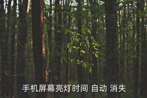  手機(jī)屏幕亮燈時(shí)間 自動(dòng) 消失