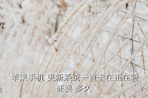  蘋果手機(jī) 更新系統(tǒng)一直卡在正在驗(yàn)證要 多久