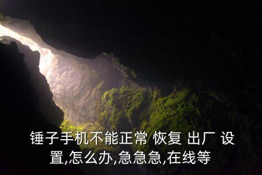  錘子手機(jī)不能正常 恢復(fù) 出廠 設(shè)置,怎么辦,急急急,在線等